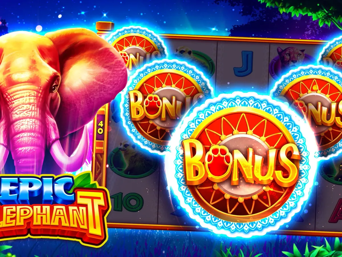 Akses dora77 VIP Premium screenshot